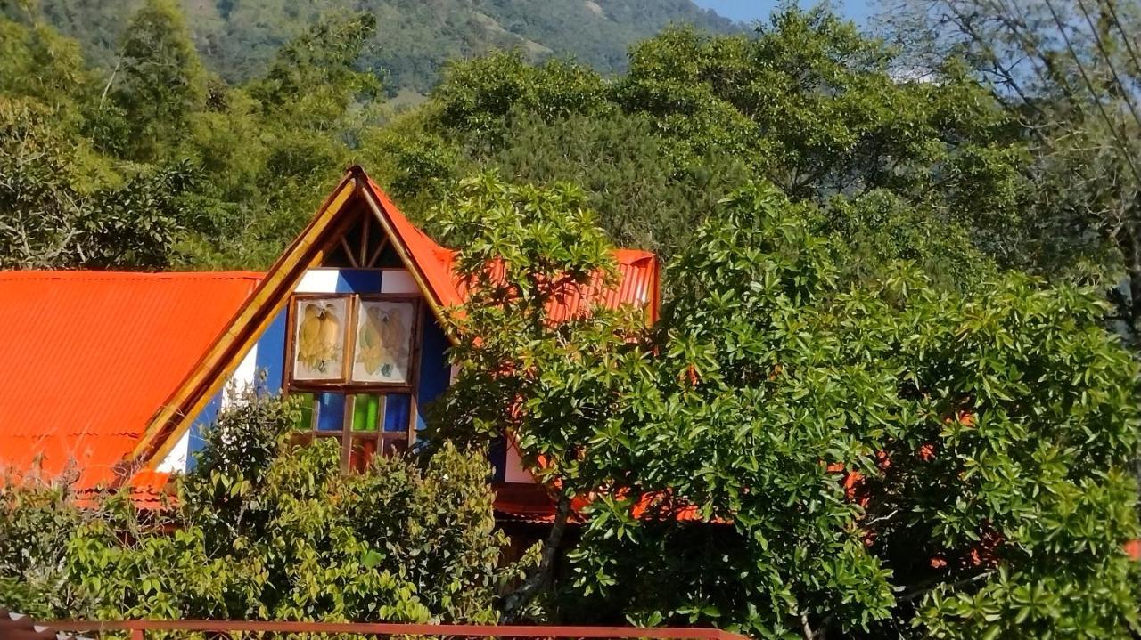 Hospedaje Rural Tupinamba Ibagué Exterior foto